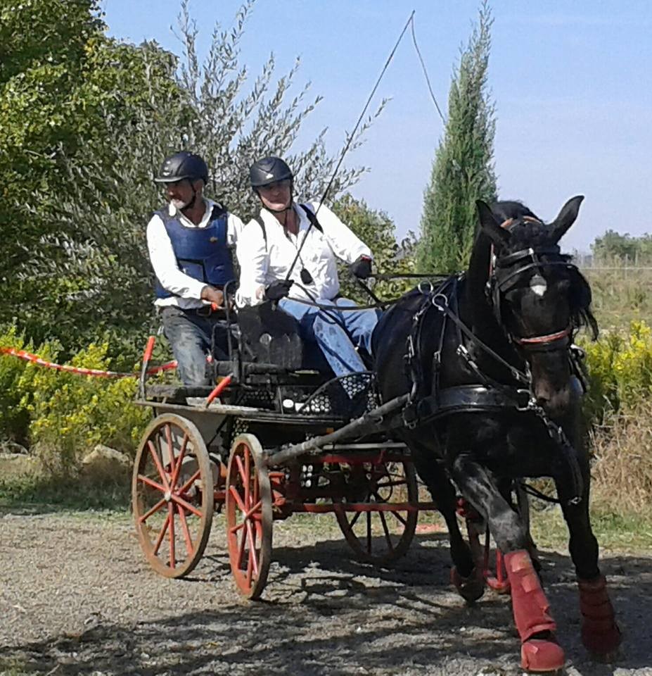 David Aramendía y Carmen Goiburu, Campeones Navarros de Enganches Completo en Troncos y Limoneras